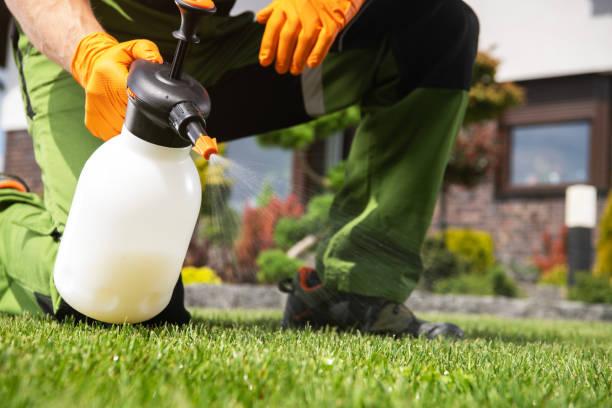 Best Flea Control Services  in Albion, NE