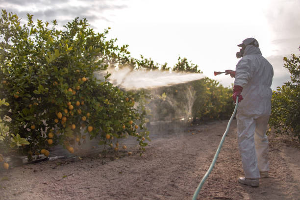 Best Pest Inspection Near Me  in Albion, NE