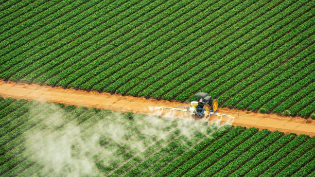 Best Pest Removal Services  in Albion, NE