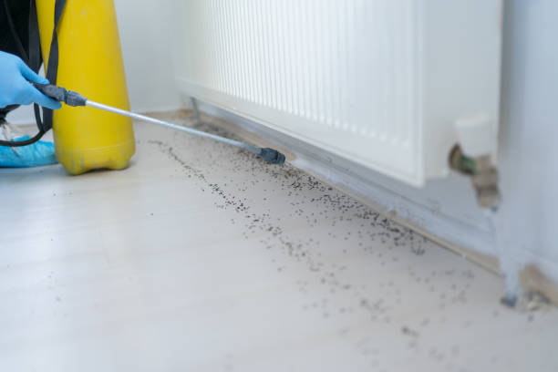 Best Emergency Pest Control  in Albion, NE