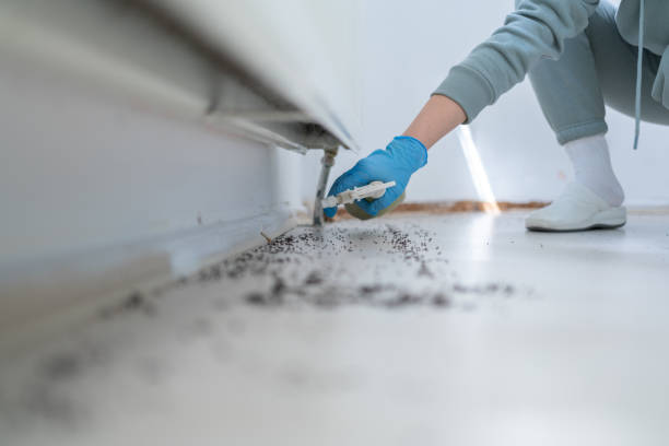 Best Wildlife Control Services  in Albion, NE